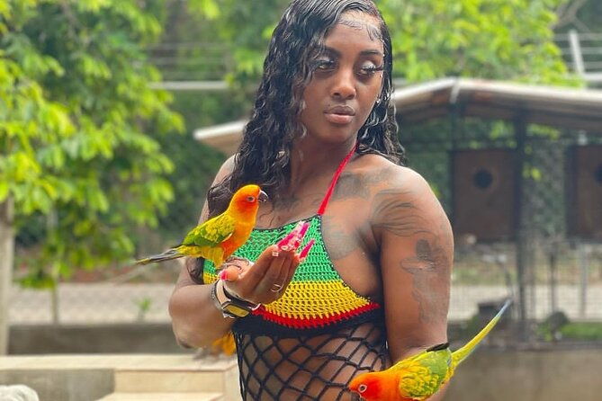 montego-bay-exotic-herbs-birds-and-animals-interaction-tour
