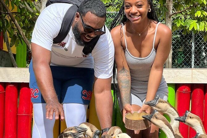 montego-bay-exotic-herbs-birds-and-animals-interaction-tour