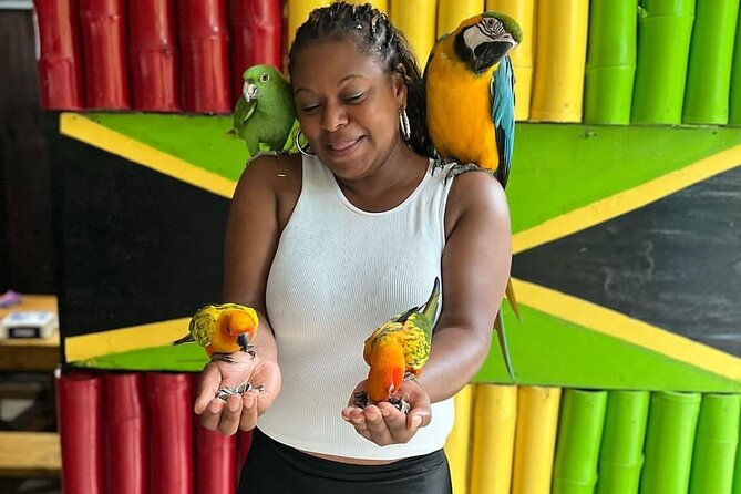 montego-bay-exotic-herbs-birds-and-animals-interaction-tour