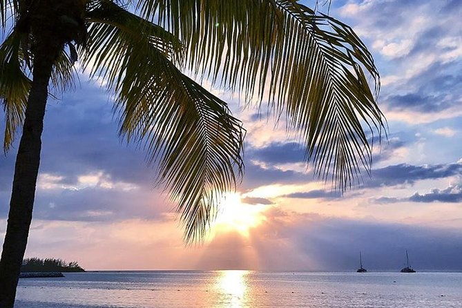 montego-bay-highlights-tour-from-montego-bay