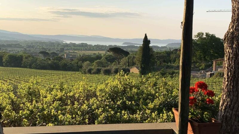 montemelino-rare-wines-selection