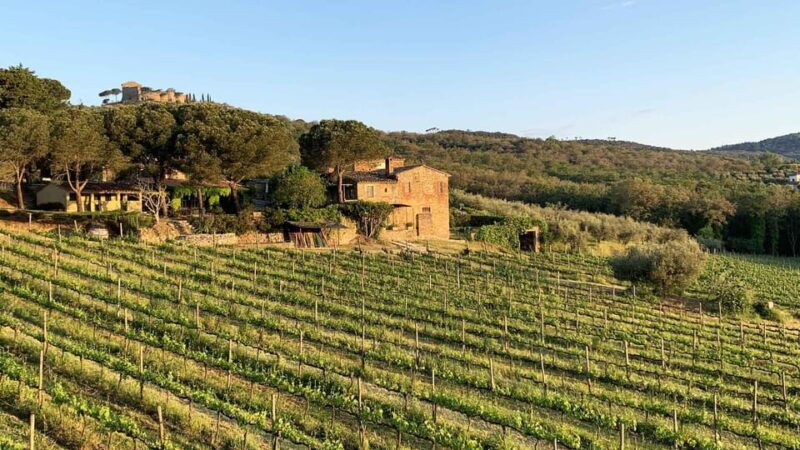 montemelino-rare-wines-selection