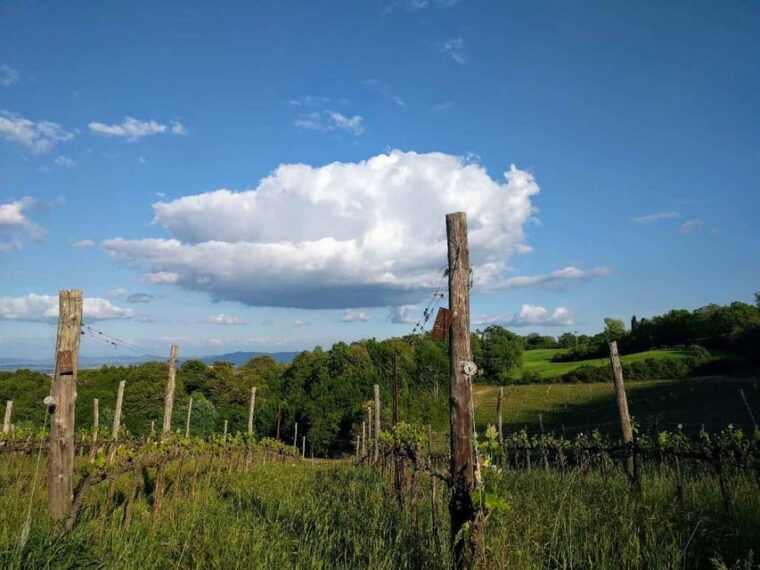 montepulciano-artisan-heroic-wine-tasting-at-the-terrace