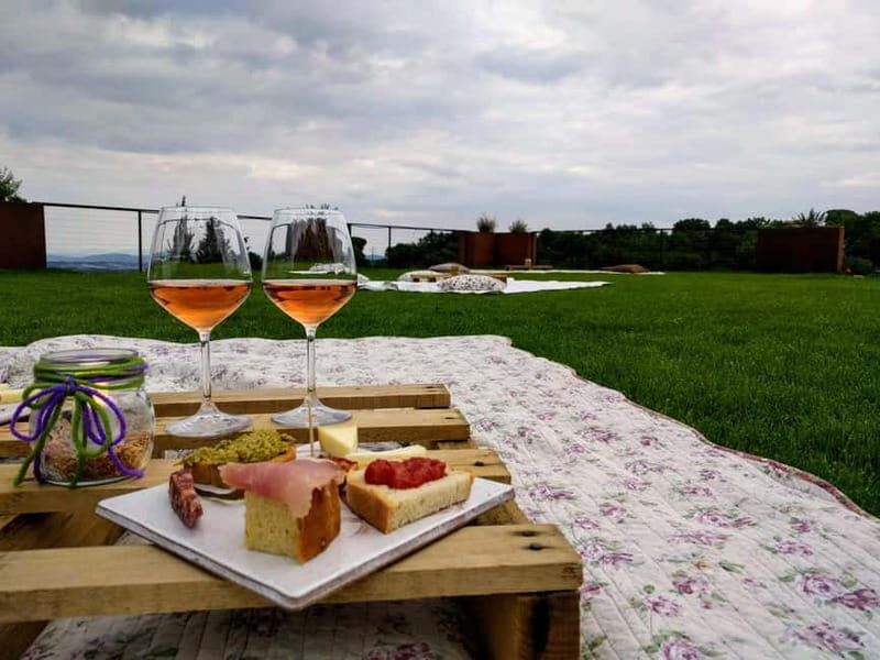 MONTEPULCIANO - PIC NIC WITH WINE! SURROUNDED BY VINEYARDS - An in-depth Look at the Experience