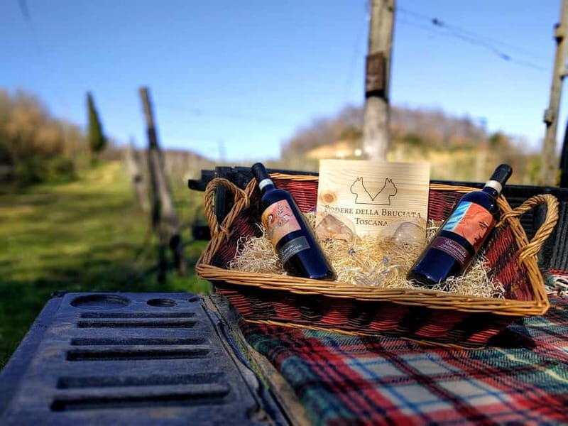 MONTEPULCIANO - PIC NIC WITH WINE! SURROUNDED BY VINEYARDS - FAQ