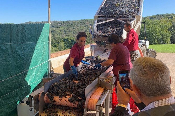 montepulciano-pienza-montalcino-tour-from-florence-2