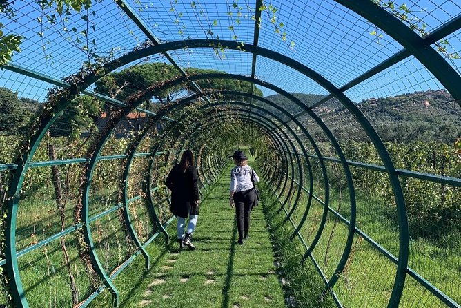 montepulciano-pienza-montalcino-tour-from-florence