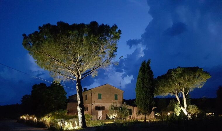 montepulciano-tuscan-winery-tour-with-wine-tasting-meal