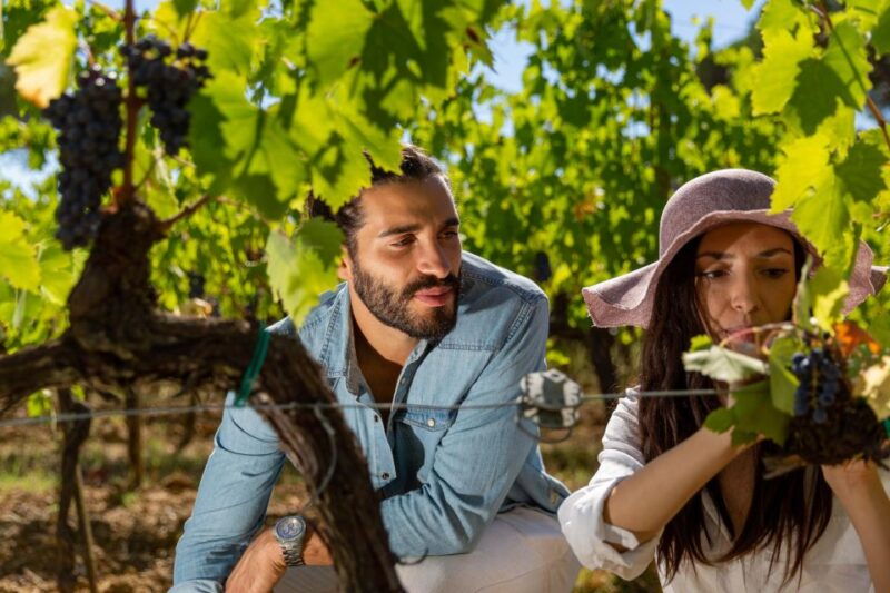 montepulciano-wine-tasting-in-the-tuscan-countryside