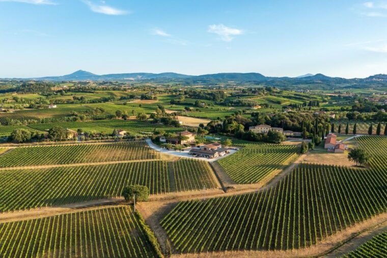 montepulciano-wine-tasting-in-the-tuscan-countryside