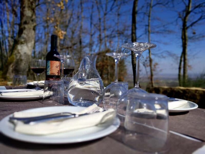 Montepulciano: Wine Tasting & Lunch - Fiorentina Steak - Practicalities and Logistics