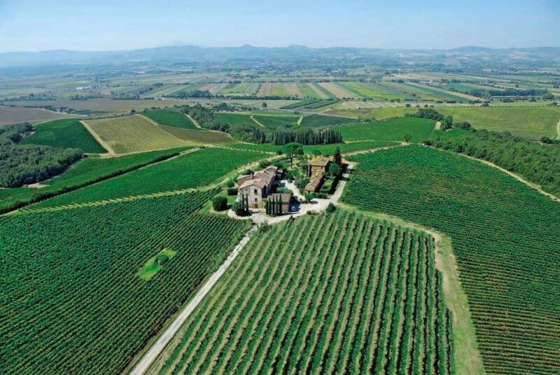 montepulciano-wine-tour-and-tasting