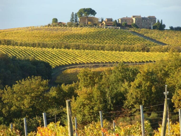 montepulciano-wine-tour-and-tasting