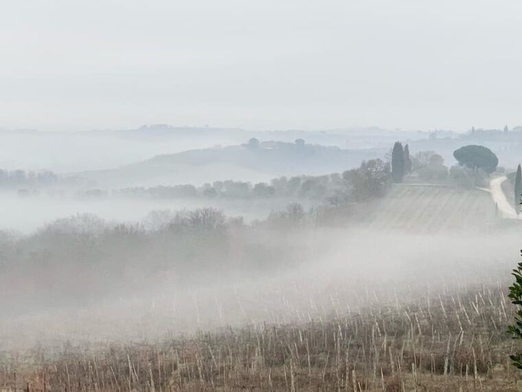 montepulciano-wine-tour-and-tasting