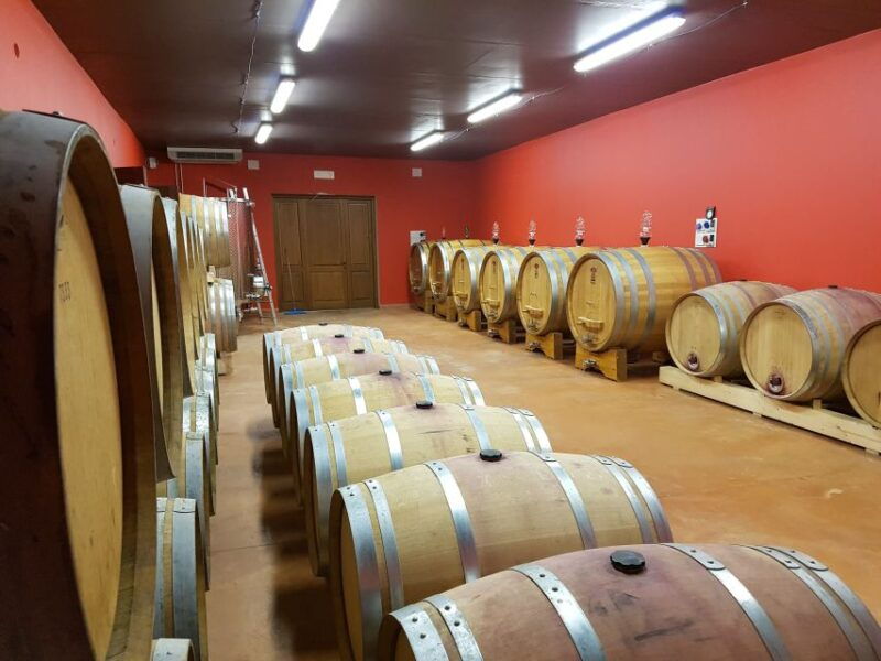 montepulciano-winery-tour-tasting-and-vineyard-picnic