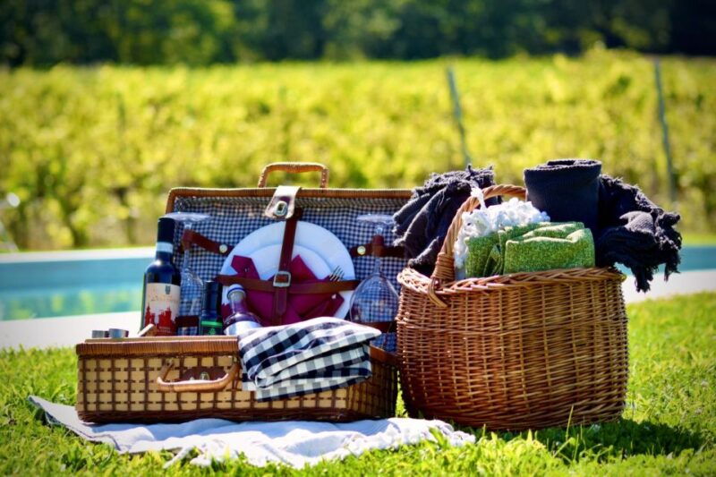 montepulciano-winery-tour-tasting-and-vineyard-picnic