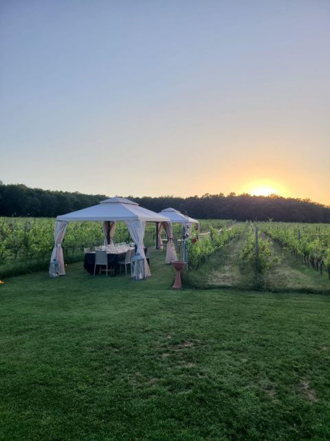 montepulciano-winery-tour-tasting-and-vineyard-picnic