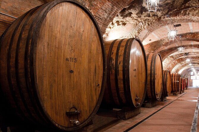 Montepulciano: Winery Tour & Tasting Experience - Who Should Book This Tour?