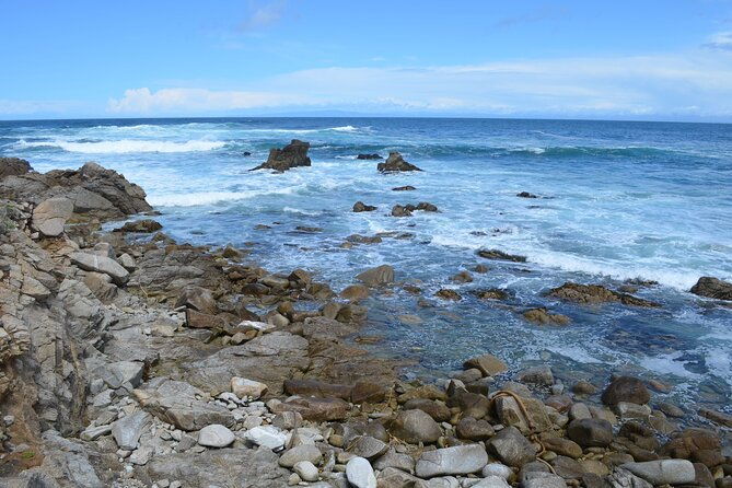 monterey-1-day-tour