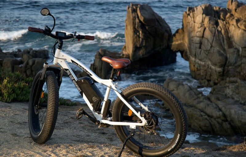 Monterey: 17-Mile Drive Guided E-Bike Tour - Who Will Love This Tour?