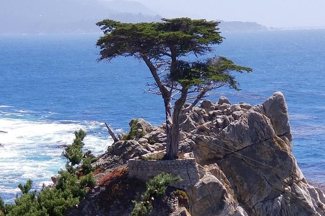 monterey-17-mile-drive-pebble-beach-carmel-private-tour