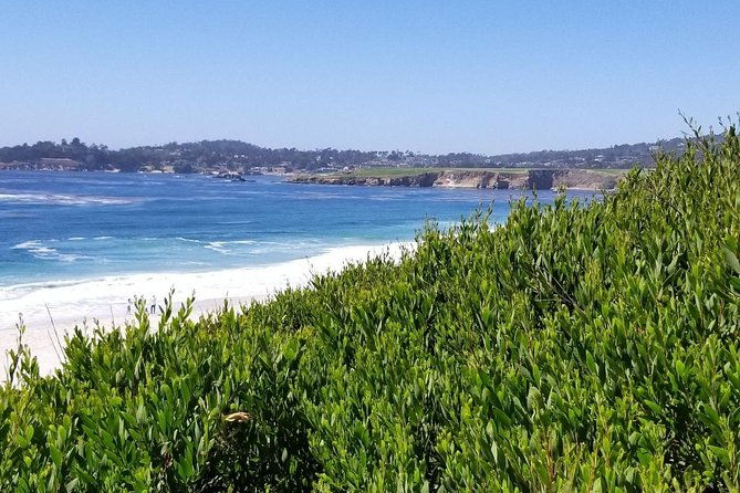 monterey-17-mile-drive-pebble-beach-carmel-private-tour