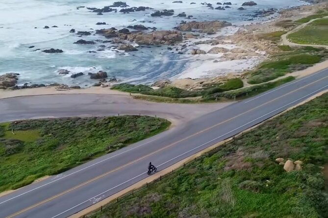 monterey-bay-famous-dog-friendly-electric-bike-and-sidecar-tour