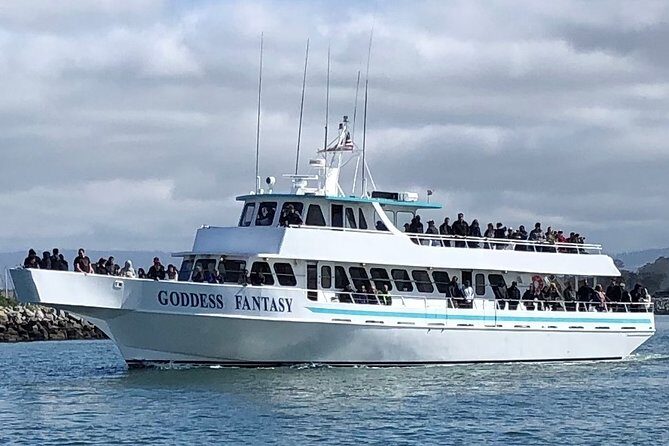 Monterey Bay Whale Watching - What Makes This Tour Stand Out?