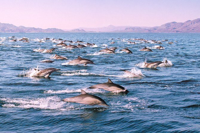Monterey Bay Whale Watching - Who Will Love This Tour?