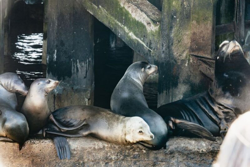 monterey-bay-whale-watching-tour