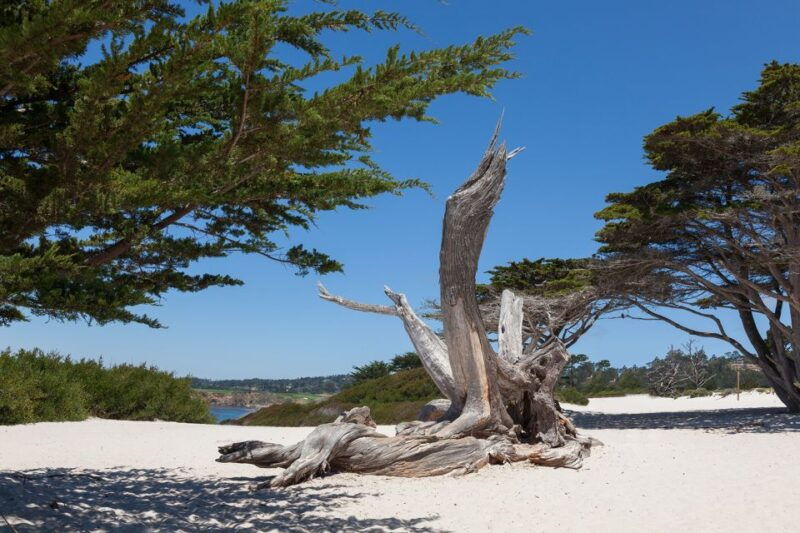 monterey-carmel-17-mile-dr-big-sur-mcway-falls-pvt-tour