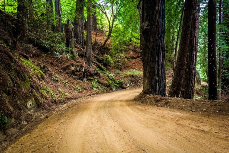 monterey-carmel-17-mile-dr-big-sur-mcway-falls-pvt-tour