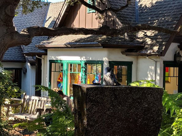 monterey-carmel-and-big-sur-private-day-trip-from-san-francisco-2