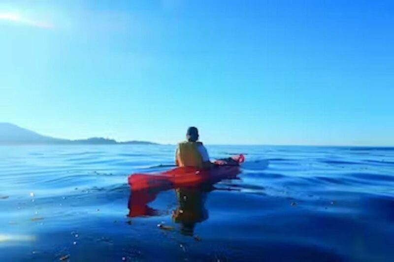 Monterey: Pebble Beach Kayak Tour - The Experience in Detail