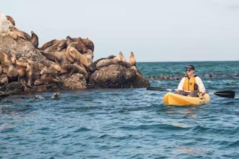 monterey-pebble-beach-kayak-tour