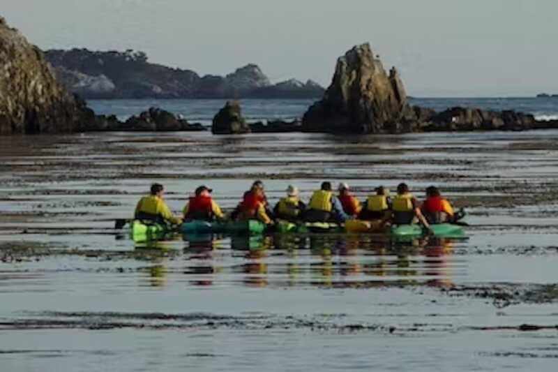 monterey-pebble-beach-kayak-tour