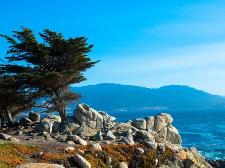 monterey-peninsula-sightseeing-tour-including-17-mile-drive