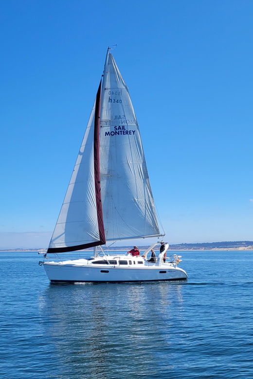 monterey-private-whale-watching-sailing-tour-for-6