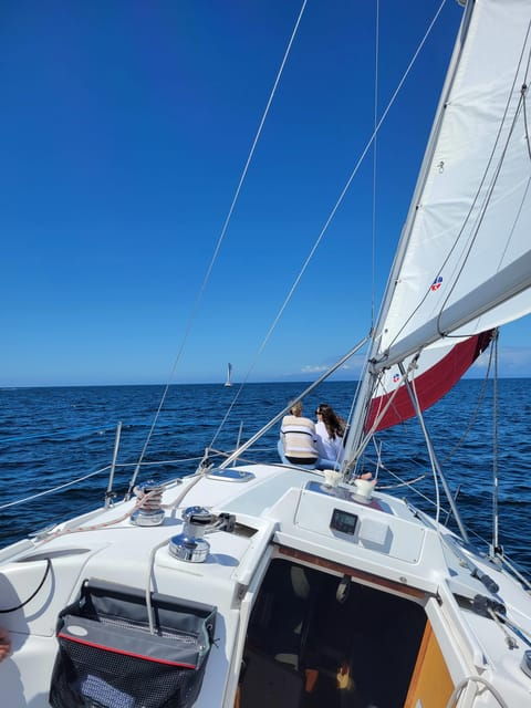 monterey-private-whale-watching-sailing-tour-for-6