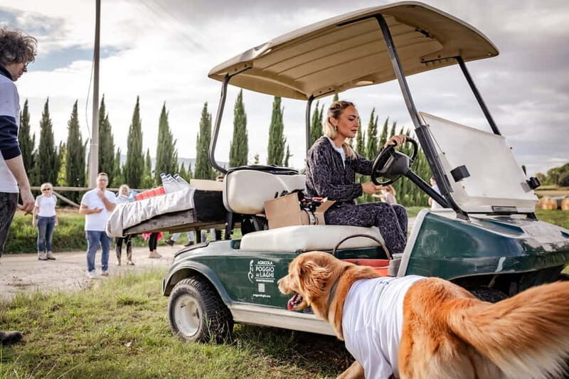 Monteriggioni: Vineyard Golf Cart Tour with Wine and Lunch - Final Thoughts