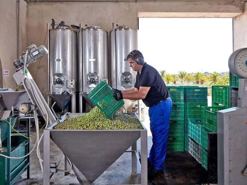 Monterosa Olive Grove: Visit to the Mill & Olive Oil Tasting - Final Thoughts