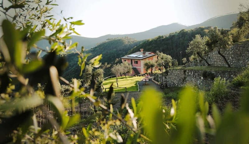 Monterosso al Mare: "Make your Pesto" Cooking Class- 5 Terre - Why This Experience Works