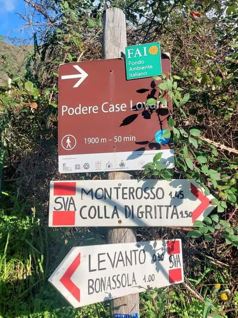 Monterosso Hiking Tour: Discover the Best Trails of 5 Terre - The Route in Detail