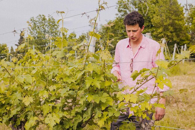 montevecchio-isolani-wine-tasting-experience