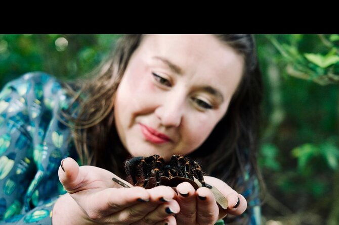 monteverde-butterfly-gardens-tour