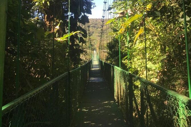 monteverde-cloud-forest-and-coffee-tour-shore-excursion