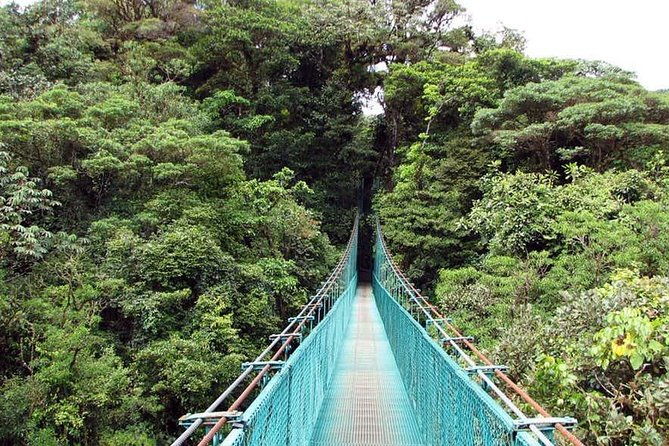 monteverde-cloud-forest-hanging-bridges