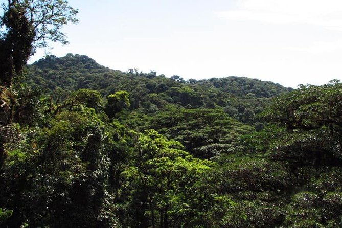 monteverde-cloud-forest-hanging-bridges