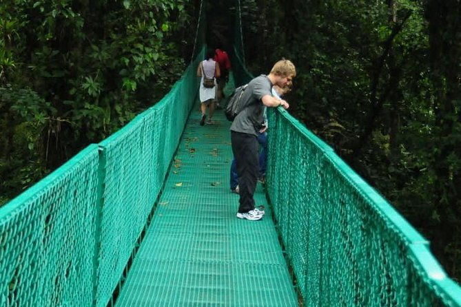monteverde-cloud-forest-hanging-bridges