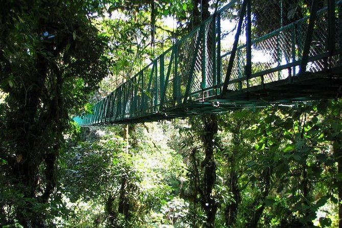monteverde-cloud-forest-hanging-bridges